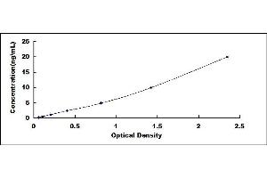 Typical standard curve (PLAT ELISA Kit)