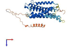 G Protein-Coupled Receptor 6 (GPR6) (AA 1-363) protein (His tag)