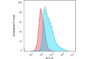 Flow Cytometric Analysis of PFA-fixed MCF-7 cells using Topo I, MT Mouse Monoclonal Antibody (TOP1MT/488) followed by Goat anti-Mouse IgG-CF488 (Blue); Isotype Control (Red). (TOP1MT Antikörper)