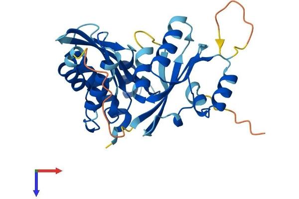 RWDD2A Protein (AA 1-292) (His tag)