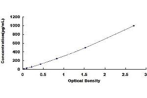 Interleukin 28B (Interferon, lambda 3) (IL28B) ELISA Kit