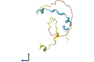 Protein Structure (PS) image for Myeloid/lymphoid Or Mixed-Lineage Leukemia (Trithorax Homolog), Translocated To, 11 (MLLT11) (AA 1-90) protein (Fc Tag) (ABIN7556826)