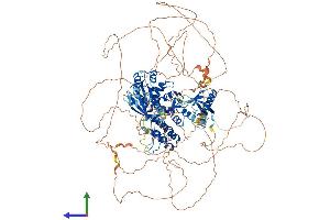 Protein Structure (PS) image for ArfGAP with GTPase Domain, Ankyrin Repeat and PH Domain 2 (AGAP2) (AA 1-1192) protein (His tag) (ABIN7551910)
