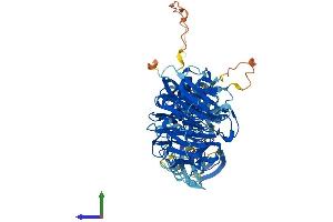 Protein Structure (PS) image for NIMA-Related Kinase 8 (NEK8) (AA 1-692) protein (His tag) (ABIN7549754)