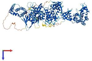JAK2 Protein (AA 1-1132) (His tag)