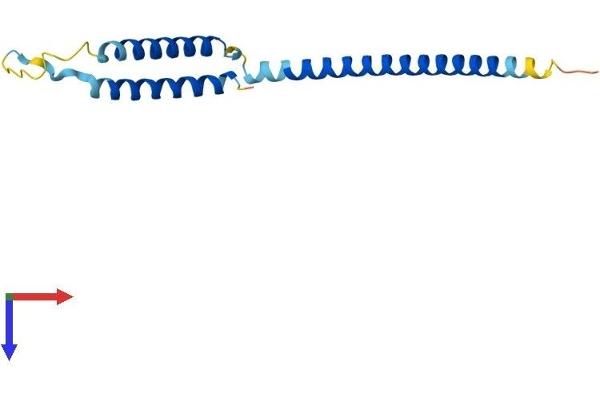 MED21 Protein (AA 1-144) (His tag)