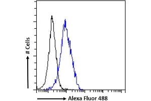 (ABIN185503) Flow cytometric analysis of paraformaldehyde fixed U2OS cells (blue line), permeabilized with 0. (BRSK2 Antikörper  (Internal Region))