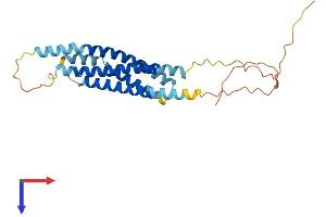 MS4A6A Protein (AA 1-248) (His tag)