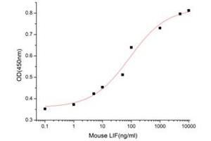 Activity Assay (AcA) image for Leukemia Inhibitory Factor (LIF) (AA 24-203) (Active) protein (His tag) (ABIN7607288)