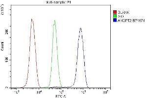 Flow Cytometry analysis of U937 cells using anti-ANGPT2 antibody (ABIN7601450).