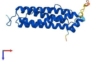 AlphaFold protein structure predicition of Mouse Recombinant Ftl2 Protein, UniprotID P49945 (FTL2 Protein (AA 1-183) (His tag))