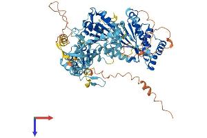 ERCC3 Protein (AA 1-783) (His tag)