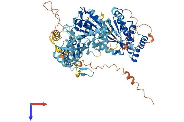 ERCC3 Protein (AA 1-783) (His tag)