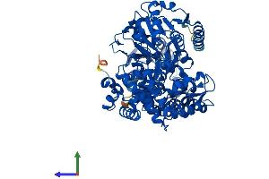 Protein Structure (PS) image for Enoyl-CoA, Hydratase/3-Hydroxyacyl CoA Dehydrogenase (EHHADH) (AA 1-723) protein (His tag) (ABIN7547286)