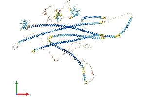 AlphaFold protein structure predicition of Mouse Recombinant Ninl Protein, UniprotID Q6ZQ12