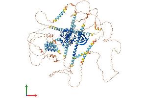Protein Structure (PS) image for NIMA-Related Kinase 1 (NEK1) (AA 1-1203) protein (His tag) (ABIN7563410)
