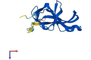 YPEL3 Protein (AA 1-119) (His tag)