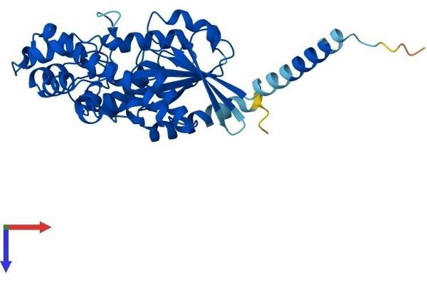 GNa14 Protein (AA 1-355) (His tag)