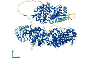 Protein Structure (PS) image for 2'-5' Oligoadenylate Synthetase 3 (OAS3) (AA 1-1087) protein (His tag) (ABIN7554813)