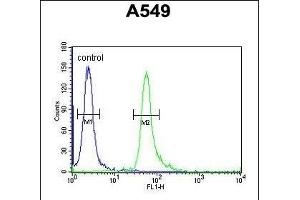 TAG Antibody (Center) 10962c flow cytometric analysis of A549 cells (right histogram) compared to a negative control cell (left histogram). (TAGAP Antikörper  (AA 103-129))