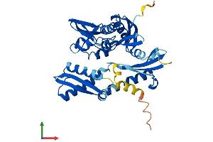 AlphaFold protein structure predicition of Human Recombinant HSPA7 Protein, UniprotID P48741 (HSPA7 Protein (AA 1-367) (His tag))