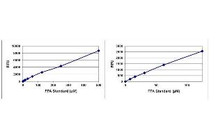 Free Fatty Acid Assay Standard Curve.