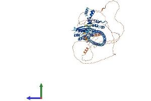 AlphaFold protein structure predicition of Mouse Recombinant Fbxo41 Protein, UniprotID Q6NS60