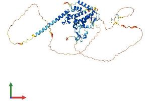 AlphaFold protein structure predicition of Human Recombinant SPATA2 Protein, UniprotID Q9UM82