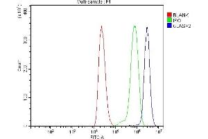Flow Cytometry analysis of THP-1 cells using anti-CLASP2 antibody (ABIN7600981). (CLASP2 Antikörper  (AA 266-1230))