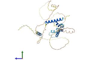 Protein Structure (PS) image for Caspase Activity and Apoptosis Inhibitor 1 (CAAP1) (AA 1-356) protein (His tag) (ABIN7559878)