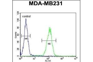 PRB2 Antibody (C-term) (ABIN6244055 and ABIN6578967) flow cytometric analysis of MDA-M cells (right histogram) compared to a negative control cell (left histogram). (PRB2 Antikörper  (C-Term))