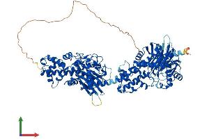 Protein Structure (PS) image for Hexokinase 1 (HK1) (AA 1-974) protein (His tag) (ABIN7562918)