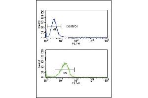 Flow Cytometry (FACS) image for anti-Advanced Glycosylation End Product-Specific Receptor (AGER) (AA 24-52), (N-Term) antibody (ABIN651054)