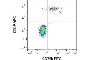 Flow cytometry multicolor surface staining pattern of human lymphocytes using anti-human CD19 (LT19) APC antibody (10 μL reagent / 100 μL of peripheral whole blood) and anti-human CD79b (CB3-1) FITC antibody (4 μL reagent / 100 μL of peripheral whole blood). (CD79b Antikörper  (FITC))
