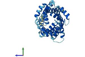 AlphaFold protein structure predicition of Human Recombinant SLC25A21 Protein, UniprotID Q9BQT8
