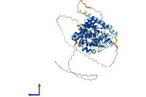 Protein Structure (PS) image for Adenosine Deaminase Domain Containing 1 (Testis-Specific) (ADAD1) (AA 1-619) protein (His tag) (ABIN7557535)