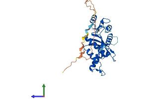 Protein Structure (PS) image for Ribonuclease H1 (RNASEH1) (AA 1-286) protein (His tag) (ABIN7551462)
