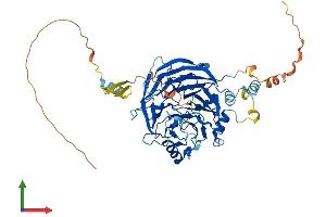 Protein Structure (PS) image for DDB1 and CUL4 Associated Factor 11 (DCAF11) (AA 1-549) protein (His tag) (ABIN7560001)