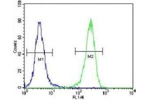 AQP11 antibody flow cytometric analysis of 293 cells (green) compared to a negative control (blue).