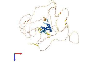 TCF7L1 Protein (AA 1-584) (His tag)