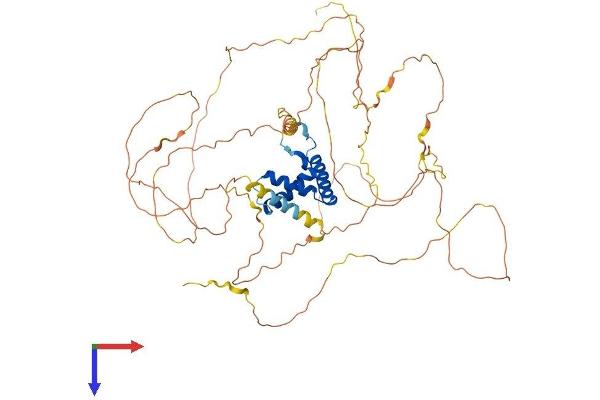 TCF7L1 Protein (AA 1-584) (His tag)