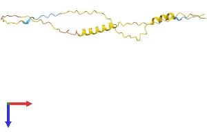 TNP2 Protein (AA 1-138) (His tag)