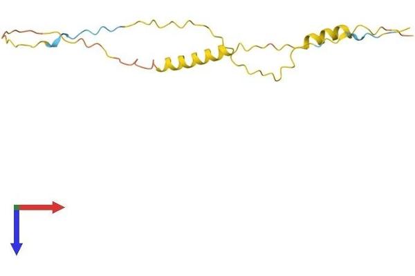 TNP2 Protein (AA 1-138) (His tag)