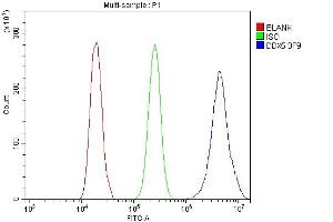 Flow Cytometry analysis of A431 cells using anti- DDX5 antibody (ABIN7602561). (DDX5 Antikörper  (AA 85-328))