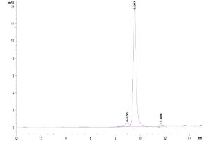 The purity of Canine DDT is greater than 90 % as determined by SEC-HPLC.
