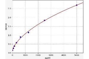 Coxsackie Adenovirus Receptor ELISA Kit