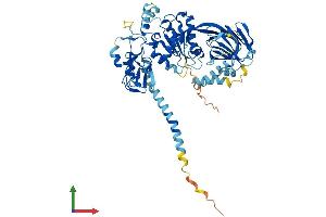 Protein Structure (PS) image for Diacylglycerol Kinase, epsilon 64kDa (DGKE) (AA 1-567) protein (His tag) (ABIN7547072)