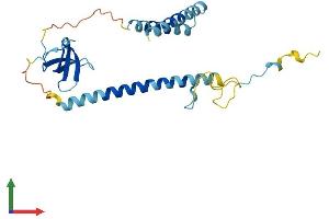 AlphaFold protein structure predicition of Human Recombinant SMNDC1 Protein, UniprotID O75940