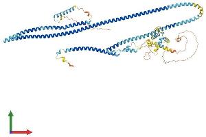 Protein Structure (PS) image for Dynein Regulatory Complex Subunit 1 (DRC1) (AA 1-753) protein (His tag) (ABIN7563752)