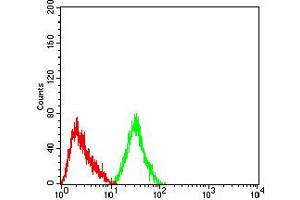 Western Blotting (WB) image for anti-Cholinergic Receptor, Nicotinic, alpha 4 (CHRNA4) (AA 29-242) antibody (ABIN5611309)